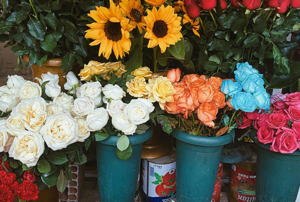 Foto de Hande Yavuz: https://www.pexels.com/es-es/foto/flores-hojas-ramo-de-flores-mercado-14743026/