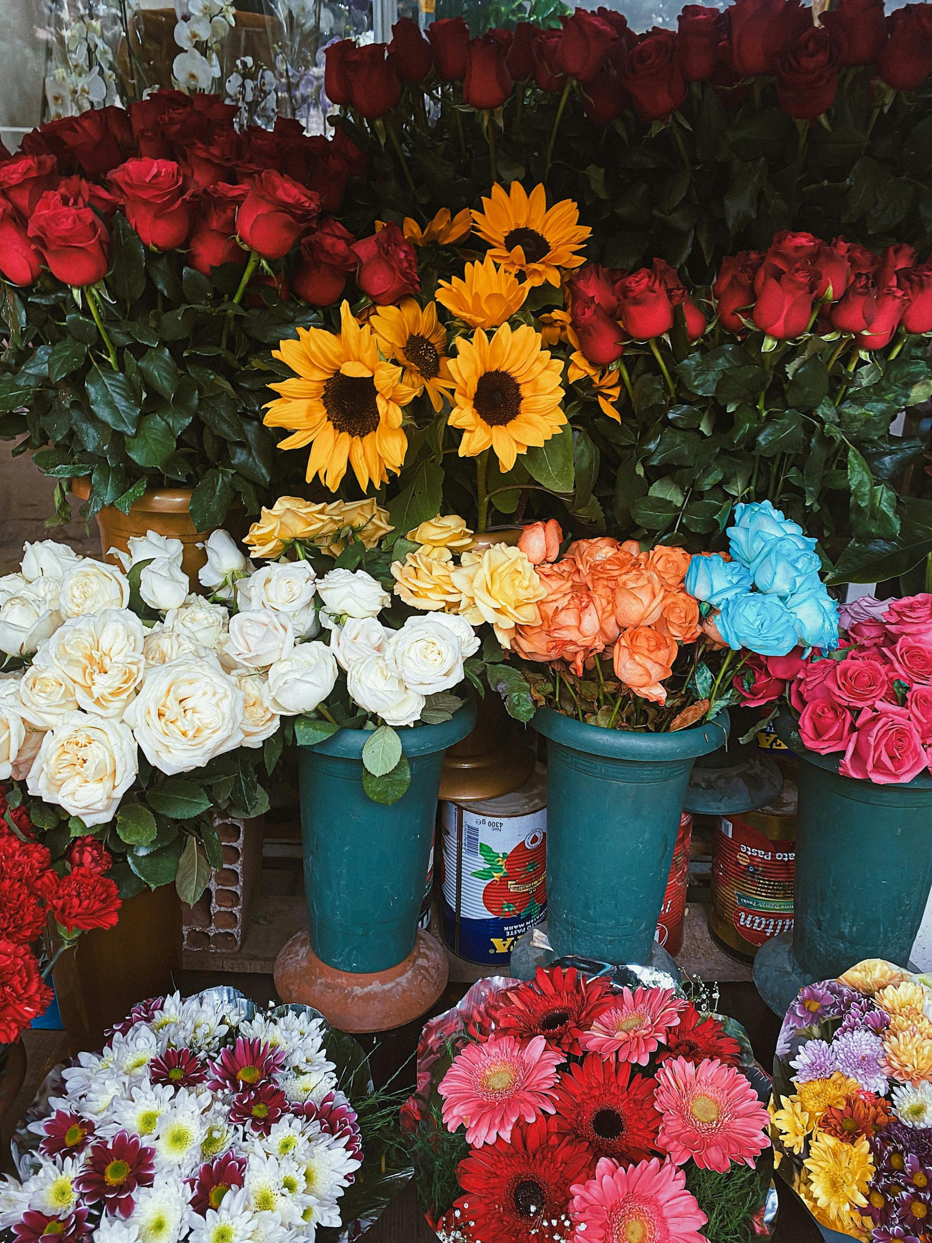 El significado de las flores más populares en Colombia y cuándo regalarlas.