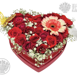 Corazón Bero